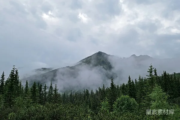 高清摄影 在多云的天气里，一座被云层和树木覆盖的山