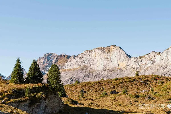 高清摄影 晴朗的山景，绿草覆盖的山丘和树木