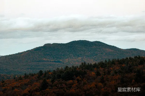 高清摄影 一座山脉的远景，前景中有树木。