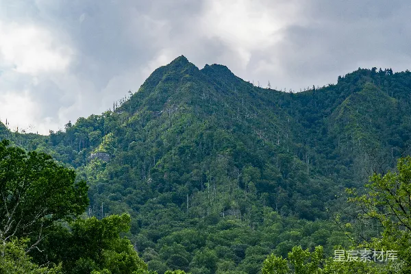 高清摄影 一座山下有树。