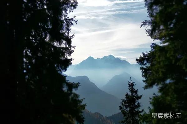 高清摄影 透过树林看山景