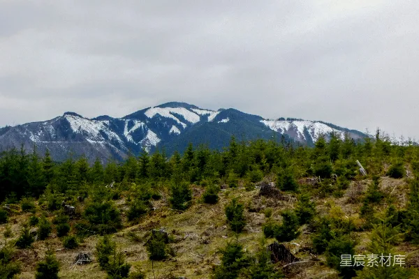 高清摄影 一座被雪覆盖的山，山上覆盖着雪，还有树木。