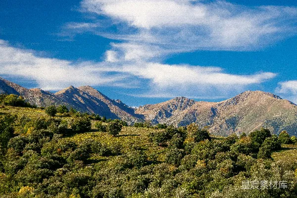 高清摄影 一幅后方有树木和山峦的风景图