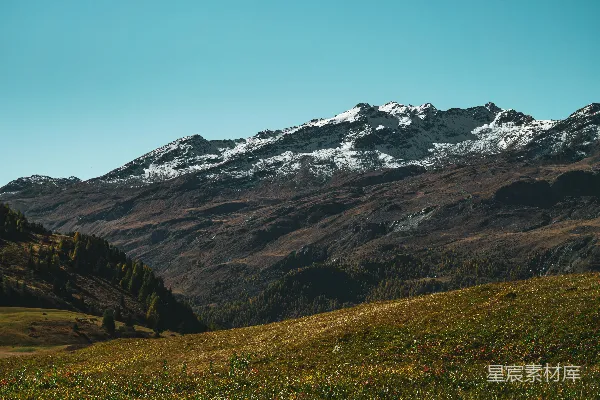 高清摄影 白雪覆盖的山峰高耸在一片草地上方。
