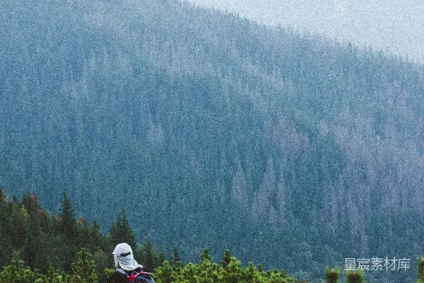 高清摄影 两个人在白天坐在绿色树木附近的岩石上。