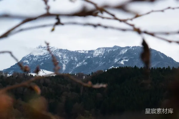 高清摄影 一根树枝，背景是山。