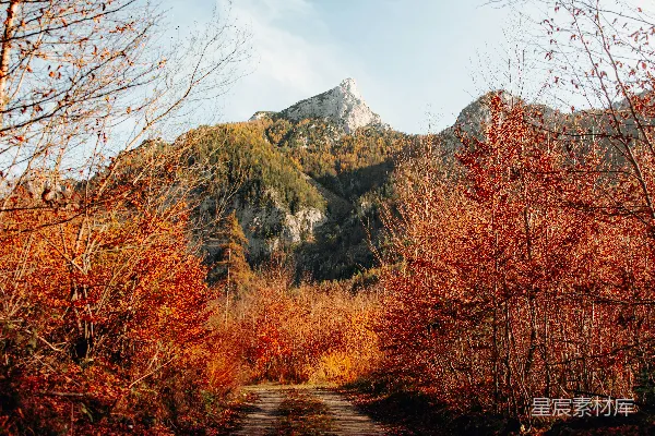 高清摄影 一条道路，背景中有树木和山脉。