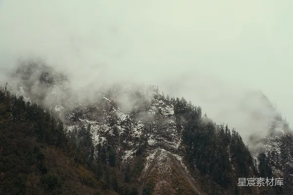 高清摄影 雾蒙蒙的山脉，常绿树木和积雪。