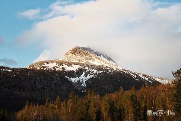 高清摄影 一座被雪覆盖的山峰，前景中有树木。