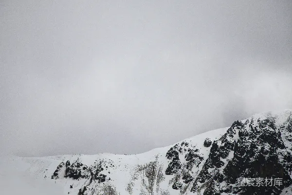 高清摄影 一座被雪覆盖的山脉，上面有树木。
