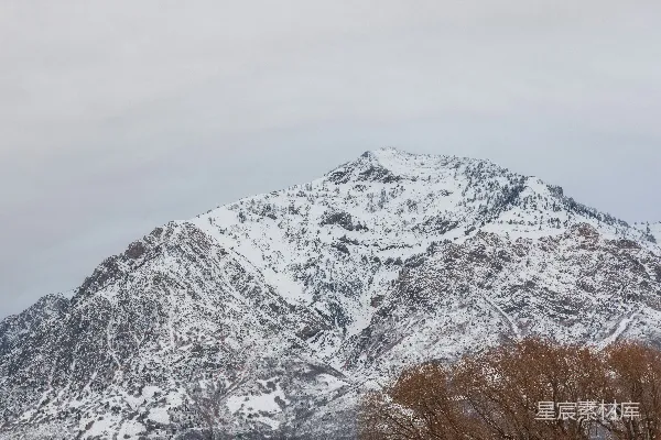 高清摄影 覆盖着雪的山峰，前景中有树木。