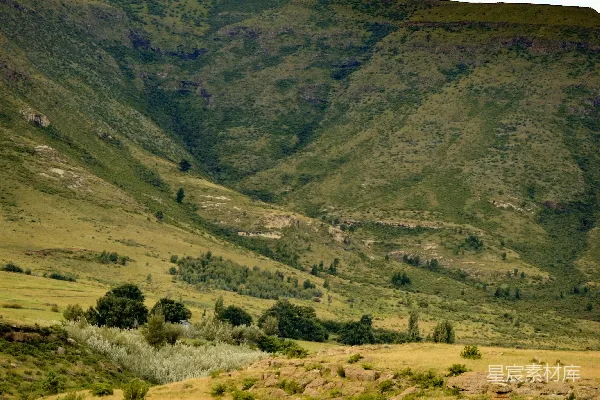 高清摄影 一片草地，背景中有一座山。