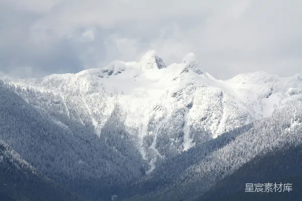 高清摄影 一座覆盖着积雪的山，前景中有树木。