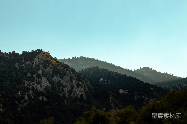 高清摄影 一座山上长着树木。