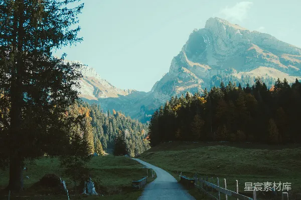高清摄影 一条有草地、树木和背景中的山脉的道路