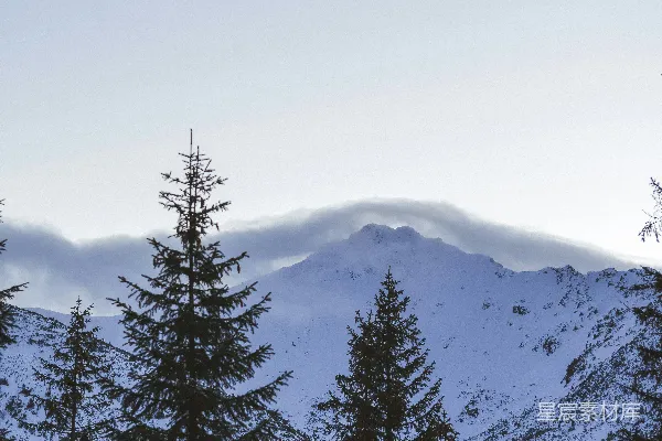 高清摄影 一座雪山的景色，前景中有树木。