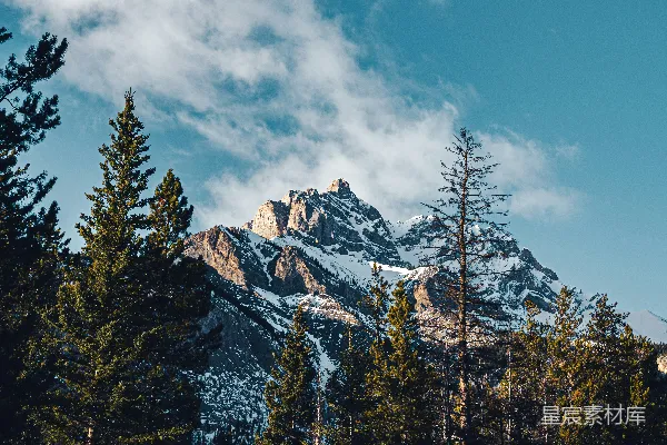 高清摄影 白天，蓝天下的白雪覆盖的山峦旁，几棵青松。