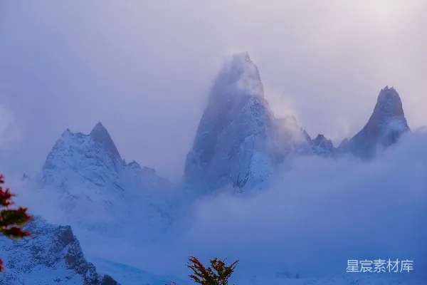 高清摄影 一座被雪覆盖的山，前景中有几棵树。