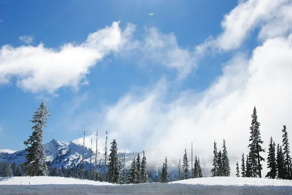 高清摄影 一座覆盖着积雪的山，山前景中有树木。
