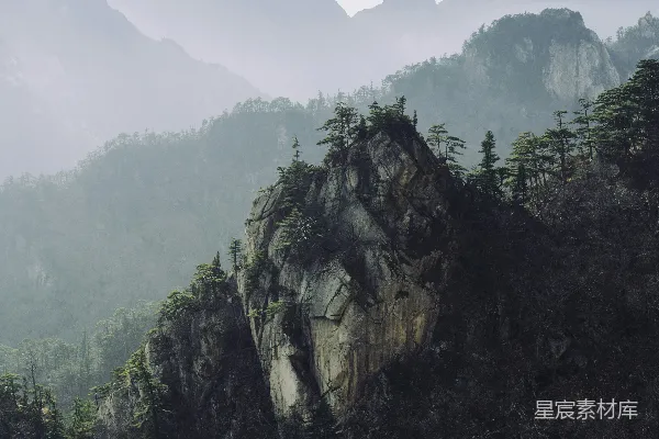 高清摄影 白天山上的绿树