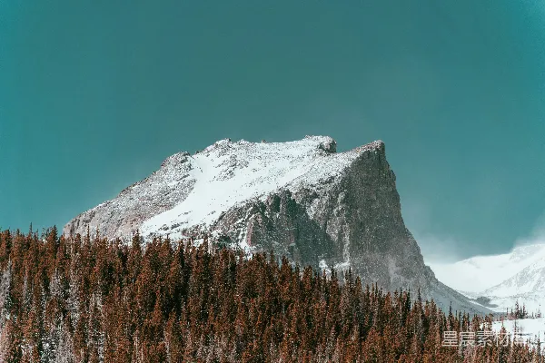 高清摄影 一座雪山上有树木
