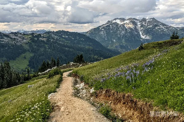 高清摄影 一条泥土路蜿蜒向上，经过一片草地，背景是连绵的山脉。
