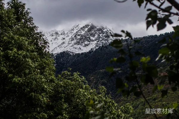 高清摄影 通过树木看到的被雪覆盖的山景