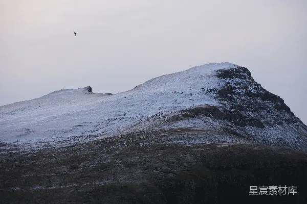 高清摄影 一只鸟飞过覆盖着雪的山峰