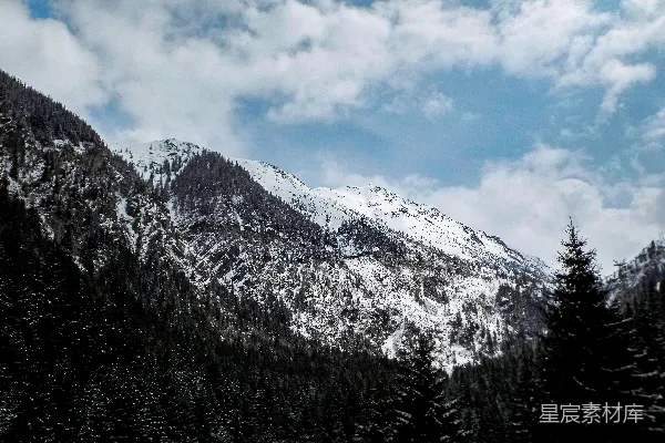 高清摄影 雪覆盖的山和树木