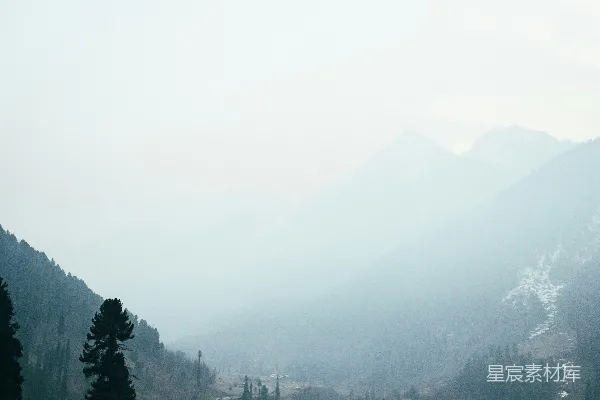 高清摄影 一片草地，背景中有树木和山脉。