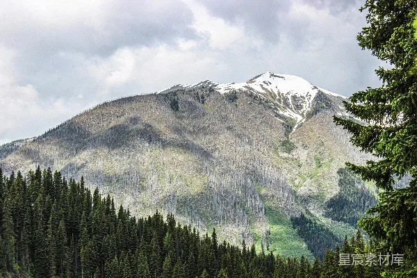 高清摄影 一座山的远景，前景是森林。