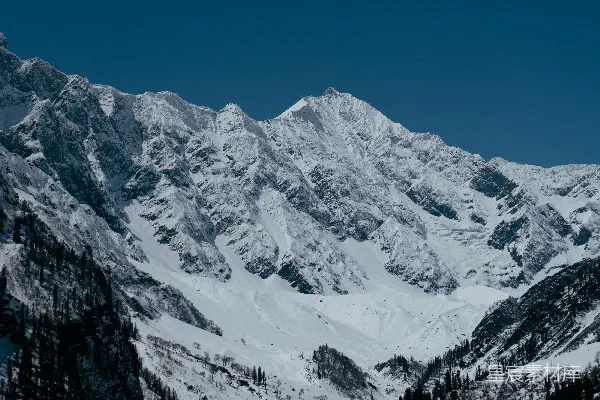 高清摄影 被雪覆盖的山脉，前景中有树木。