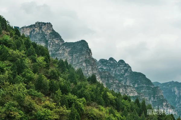 高清摄影 白天岩石山附近的绿树