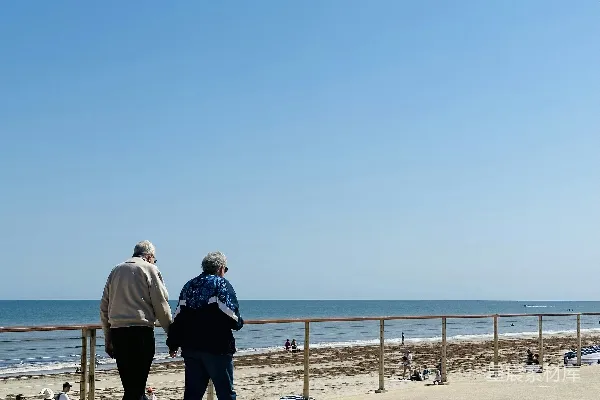 高清摄影 几个人在海边的人行道上散步。