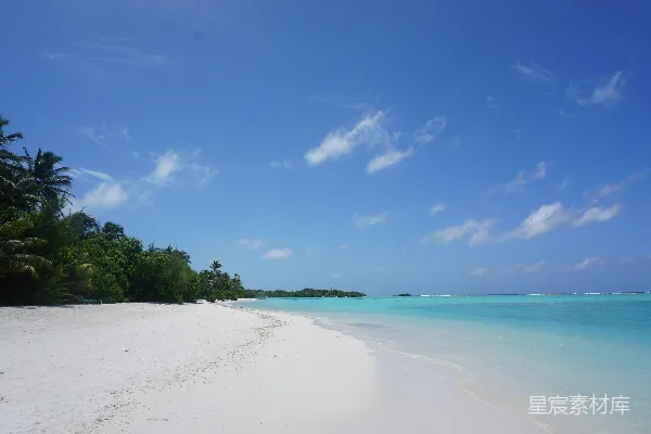 高清摄影 一个有着白色沙滩、棕榈树和蓝色海水的海滩