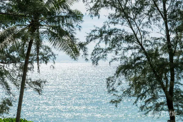 高清摄影 从草地上俯瞰海洋的景色