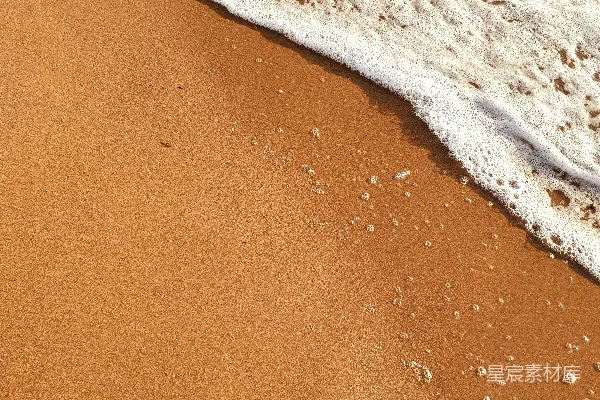 高清摄影 白天水边的棕色沙子