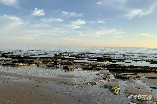 高清摄影 白天水边的棕色沙滩