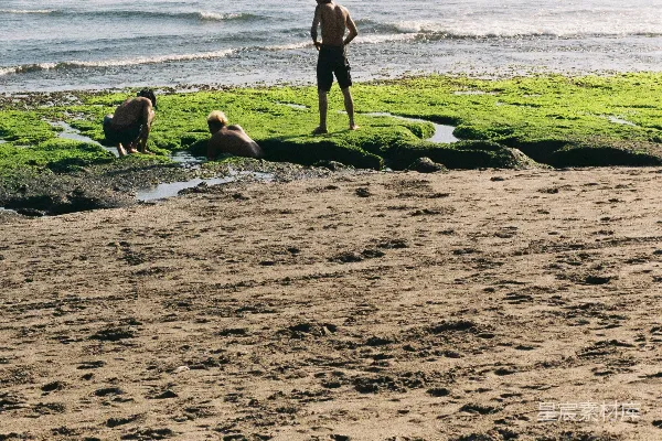 高清摄影 一个穿着黑色短裤的男人站在棕色沙滩上，旁边是水体，时间是白天。