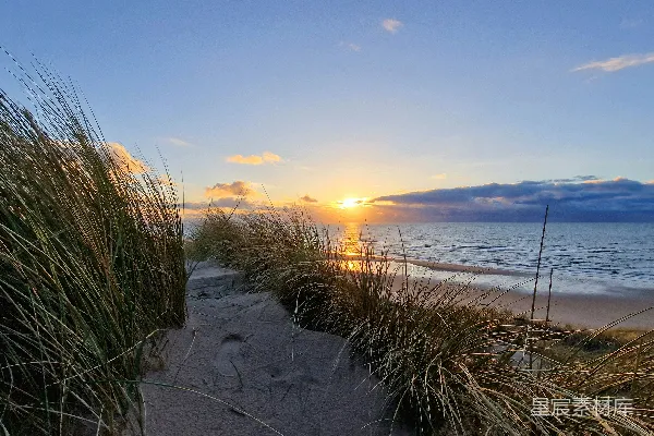 高清摄影 夕阳正照耀在海滩和草地之上。