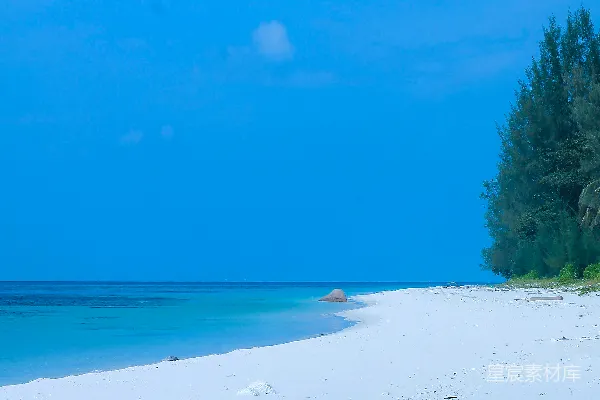 高清摄影 一个白色的沙滩，有树木和蓝色的海水。