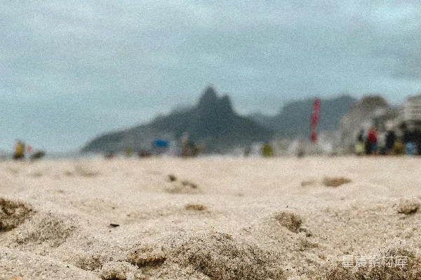 高清摄影 海滩上沙子的特写，背景中有几个人。