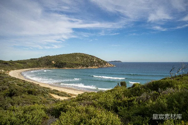 高清摄影 白天的沙滩和草地