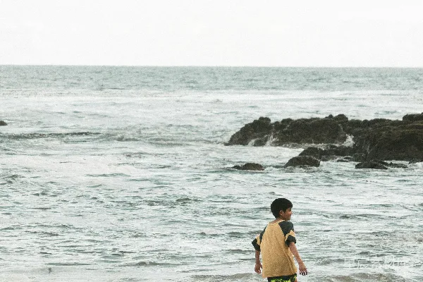 高清摄影 一个男孩站在海水中。
