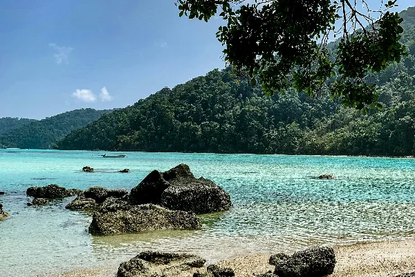 高清摄影 青山