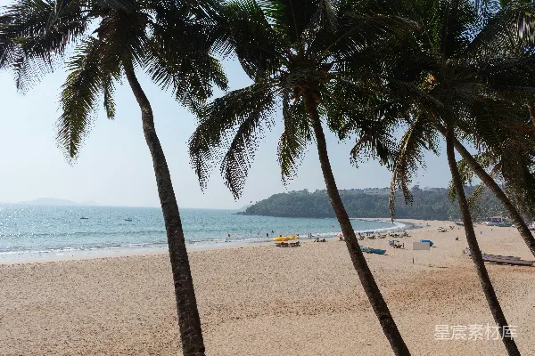 高清摄影 阳光明媚的海滩，棕榈树矗立，俯瞰着大海和海岸线。