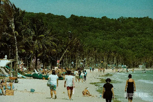 高清摄影 走在热带海滩上的人们，周围是椰子树。