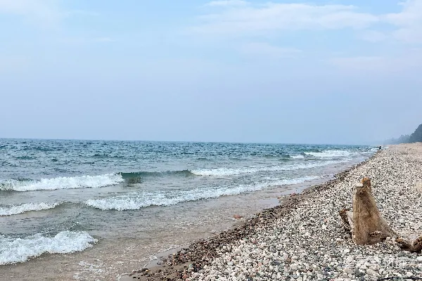 高清摄影 一只狗坐在岩石海滩上，旁边是海洋。