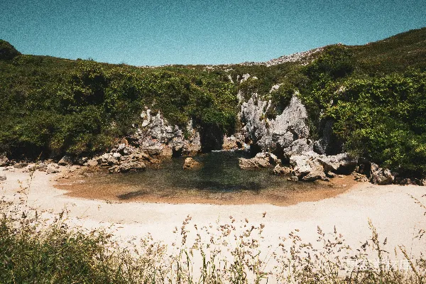 高清摄影 岩石海滩，树木和小山