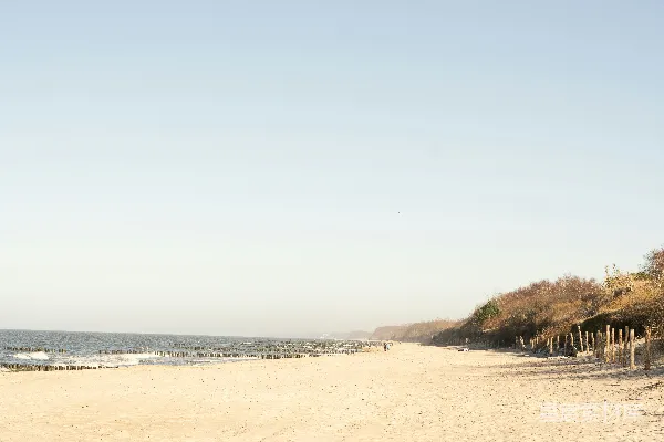 高清摄影 一个人在海滩上拿着冲浪板。